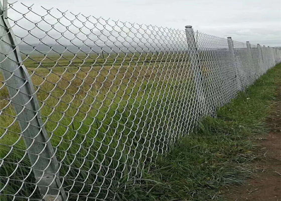 Il PVC rivestito di Mesh Fencing 60*60mm del ciclone dello zinco ha ricoperto Diamond Mesh