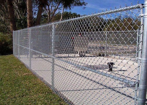 Il PVC rivestito di Mesh Fencing 60*60mm del ciclone dello zinco ha ricoperto Diamond Mesh