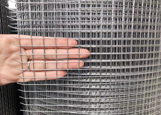 Filo zincato Mesh Fence della tela 2x2 a 1/4 pollici 30 metri di lunghezza